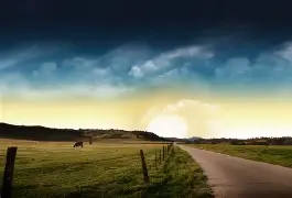 Free Rehab Referral Service