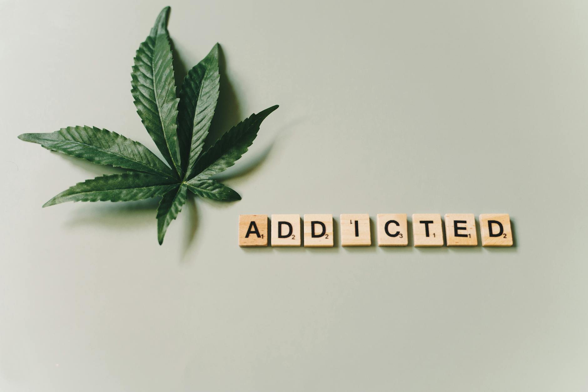 letter tiles beside marijuana leaf on a green surface
