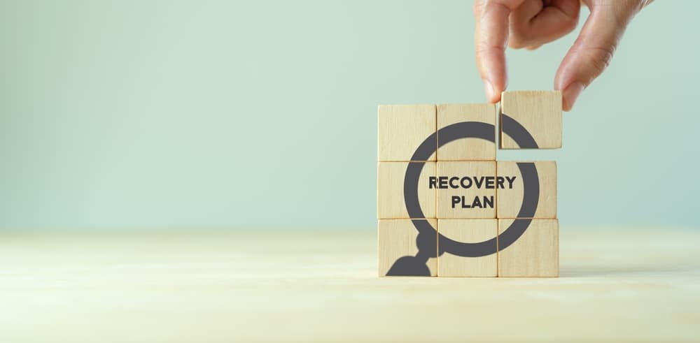 recovery puzzle