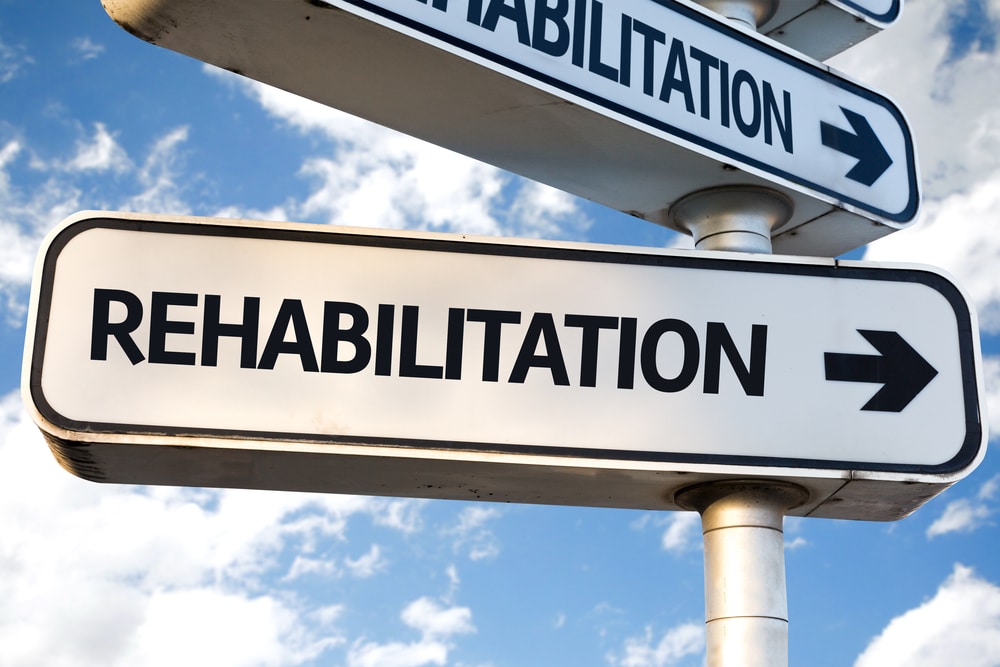 12 steps rehabilitation programme